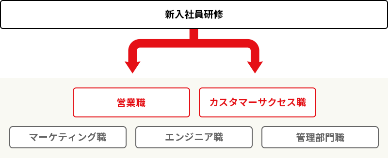 バンザンの配属先の決まり方